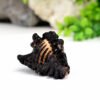 shani shankh gangtarang.com