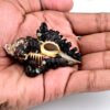 shani shankh gangtarang.com