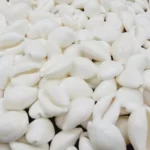 WHITE COWRY SHELLS by Gangtarang®: Kawdi/Kaudi/Cowrie/Decorative Seashell (108 Pieces)