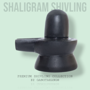 Shaligram Shivling