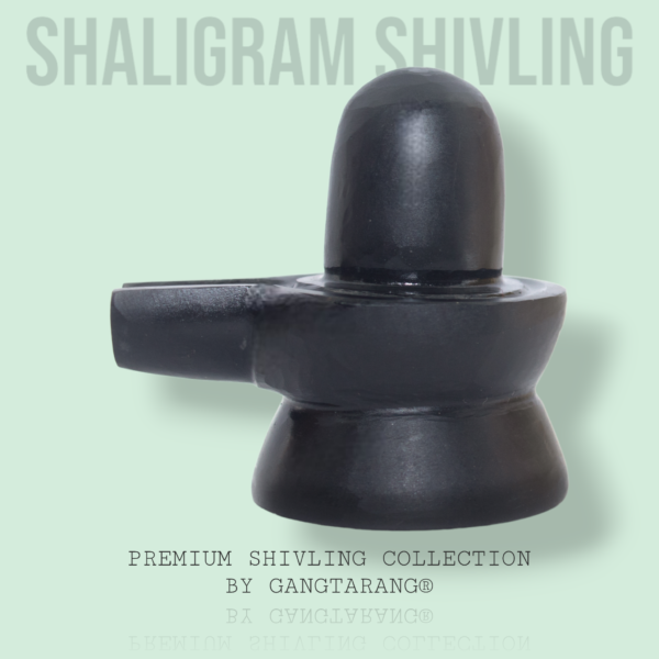 shaligram shivling gangtarang