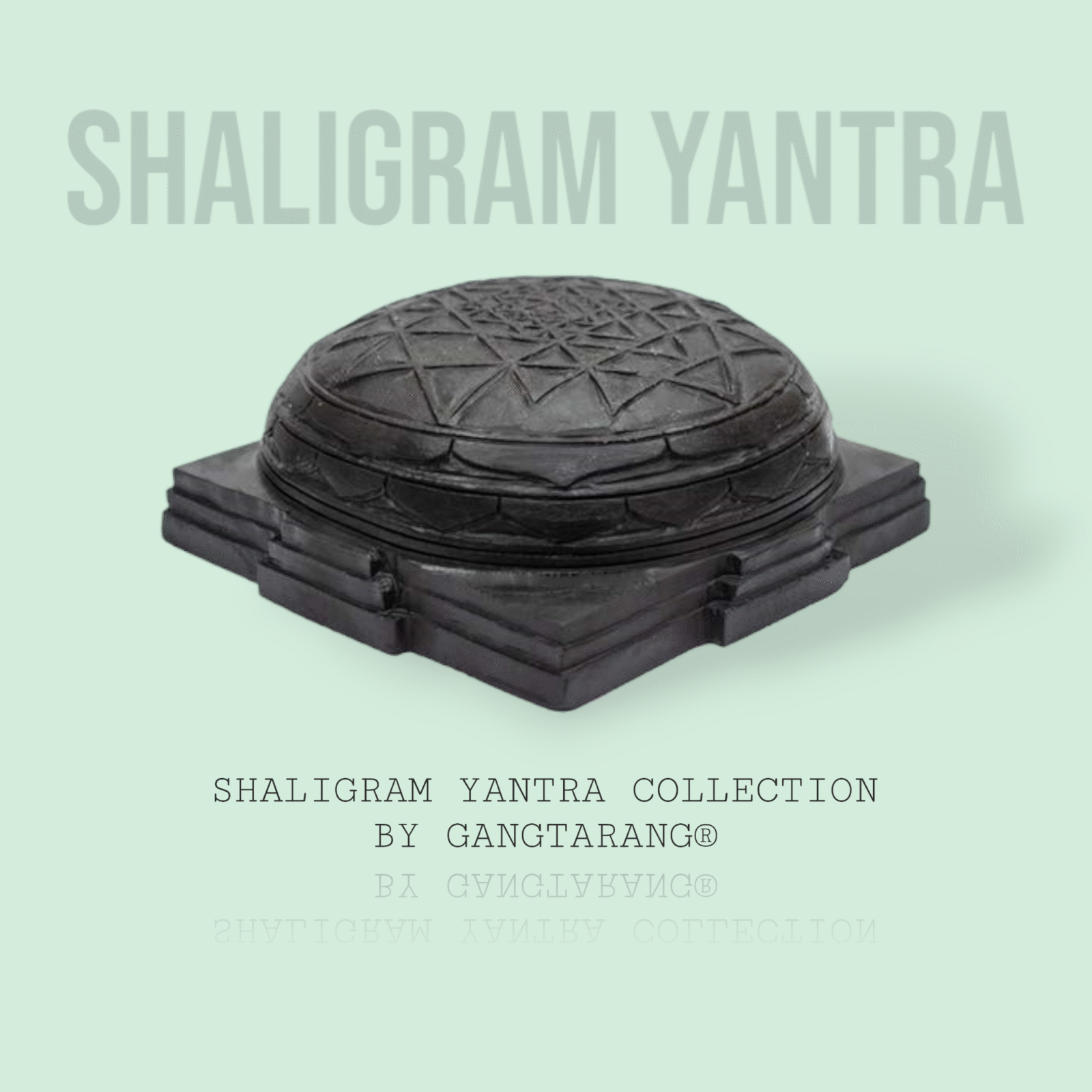 shaligram shree yantra gangtarang.com