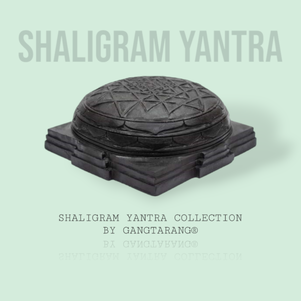 shaligram shree yantra gangtarang.com