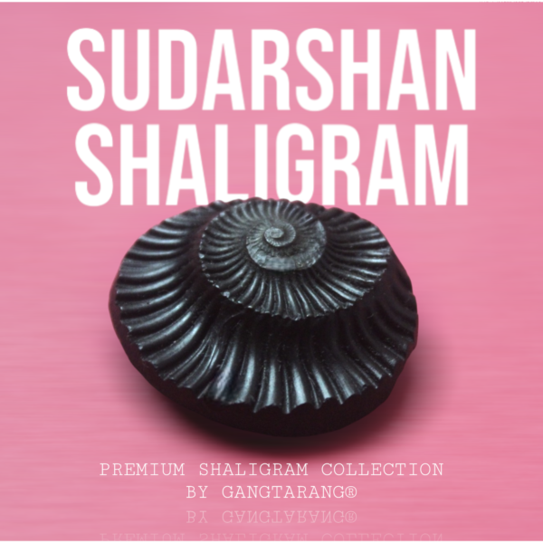 sudarshan shaligram gangtarang.com