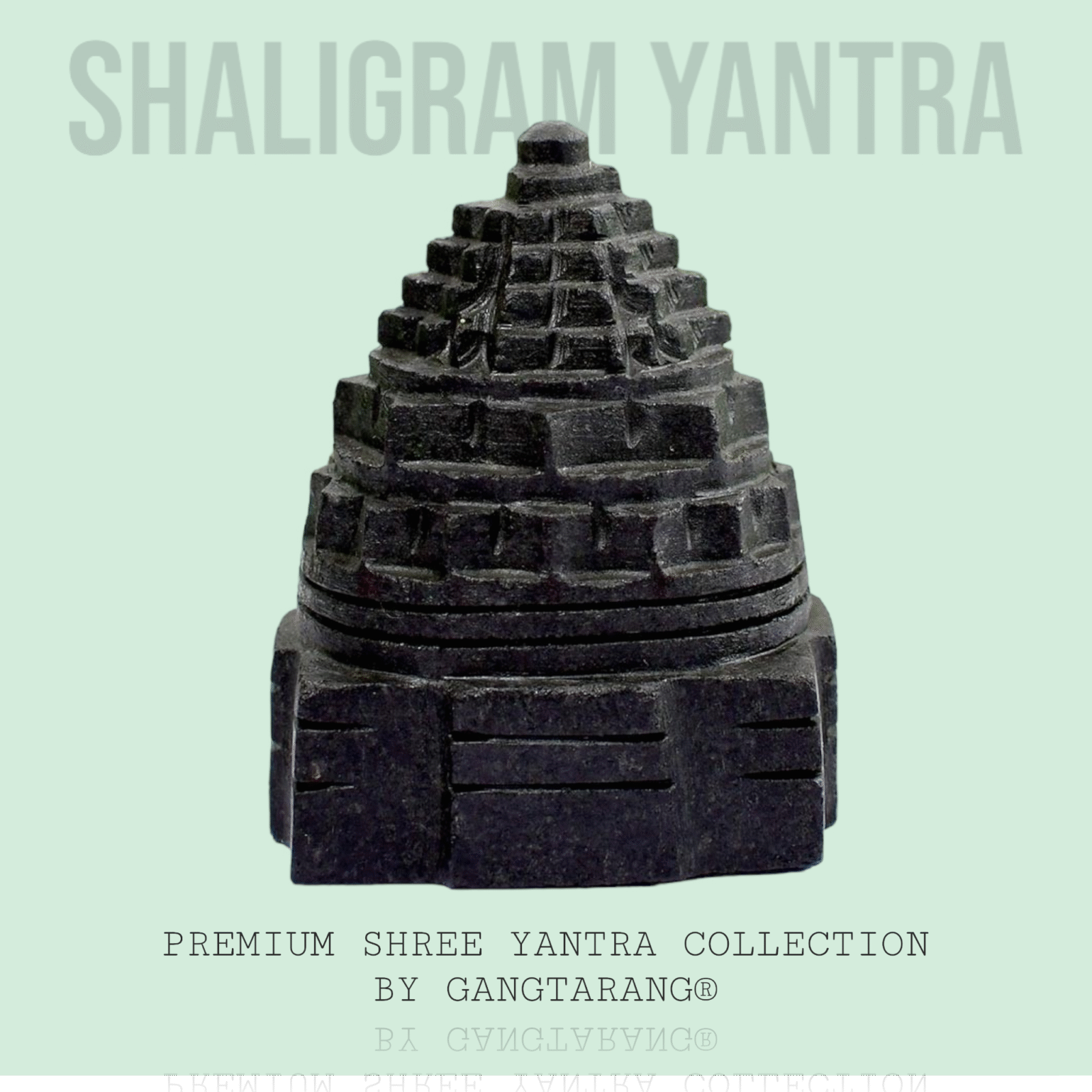 shaligram shree yantra gangtarang.com