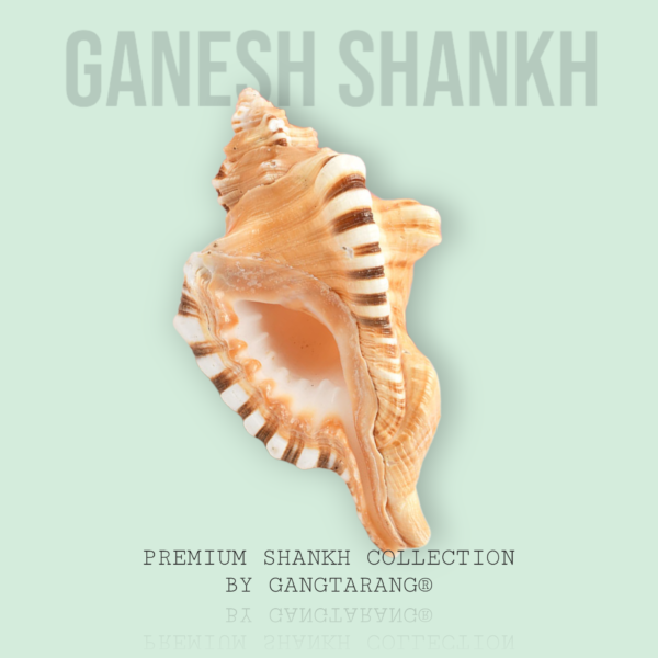 ganesh shankh gangtarang.com