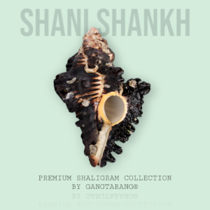 Shani Shankh