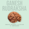 ganesh rudraksha gangtarang.com