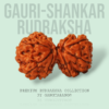 gauri shankar rudraksha gangtarang.com