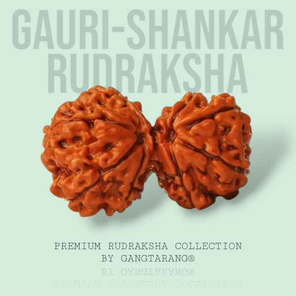gauri shankar rudraksha gangtarang.com