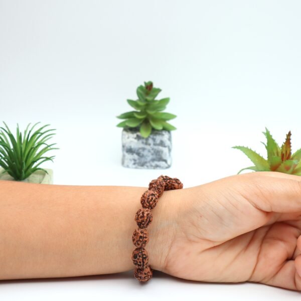 3 MUKHI RUDRAKSHA BRACELET