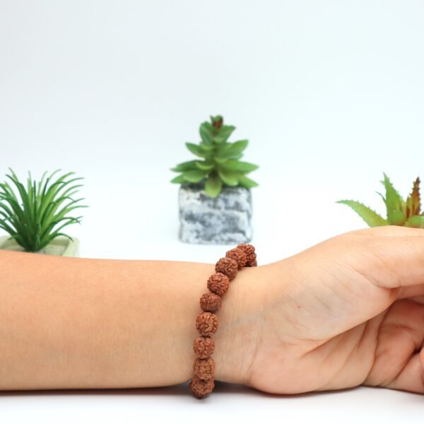 5 MUKHI RUDRAKSHA BRACELET