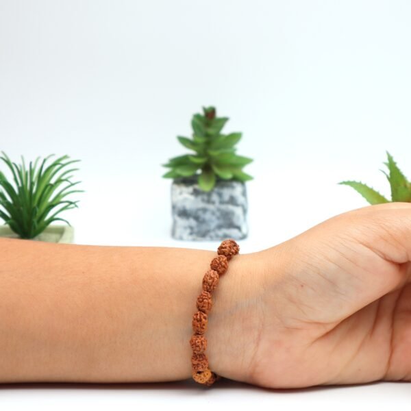 3 MUKHI RUDRAKSHA BRACELET (Compact Size)
