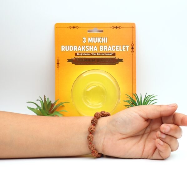 3 MUKHI RUDRAKSHA BRACELET