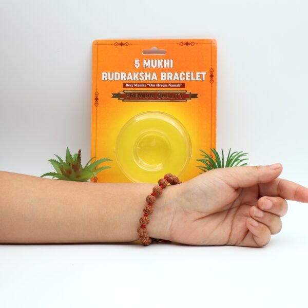 5 MUKHI RUDRAKSHA BRACELET