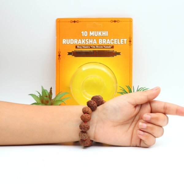 10 MUKHI RUDRAKSHA BRACELET