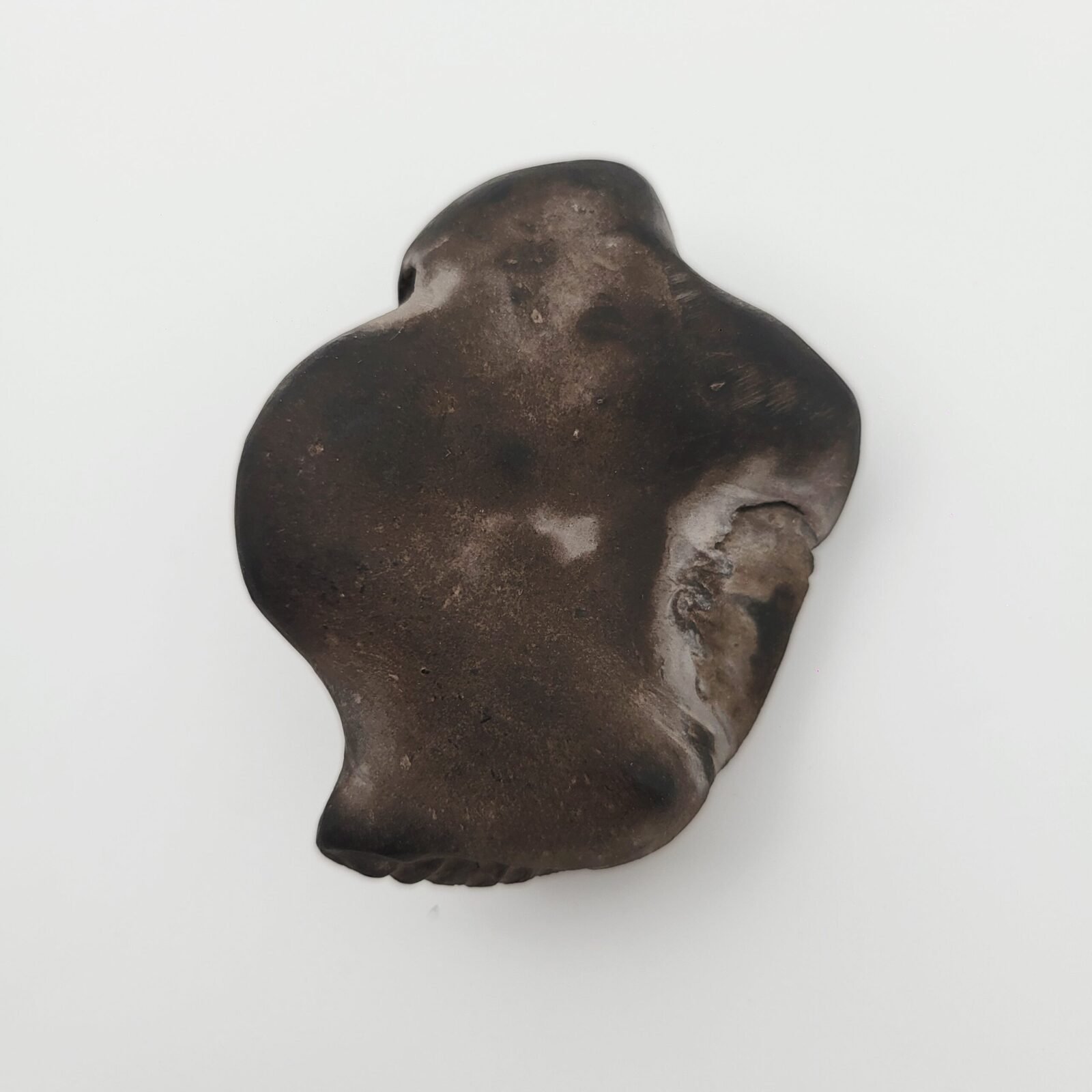 SHREE GANESH SHALIGRAM (RARE) - Image 5