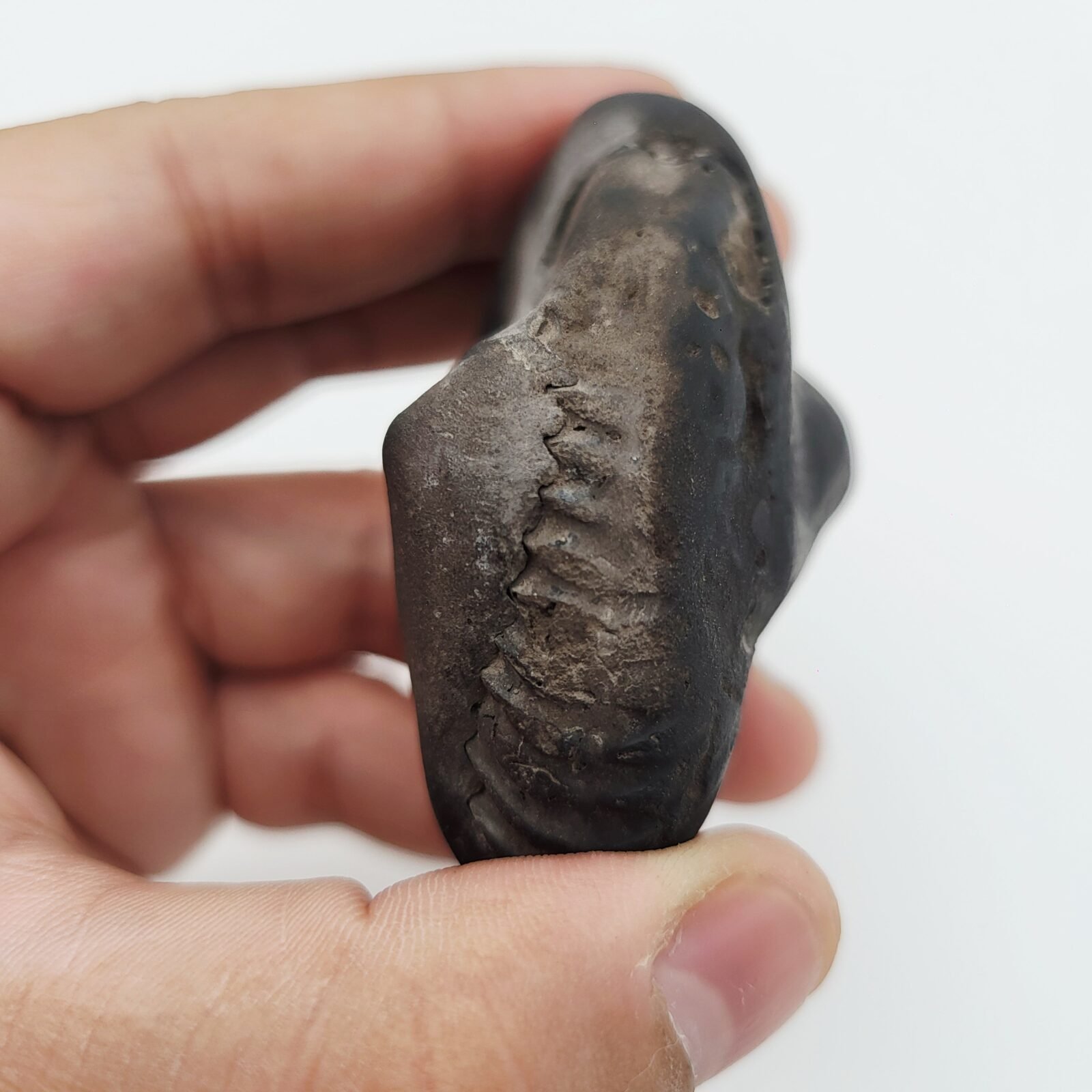 SHREE GANESH SHALIGRAM (RARE) - Image 6