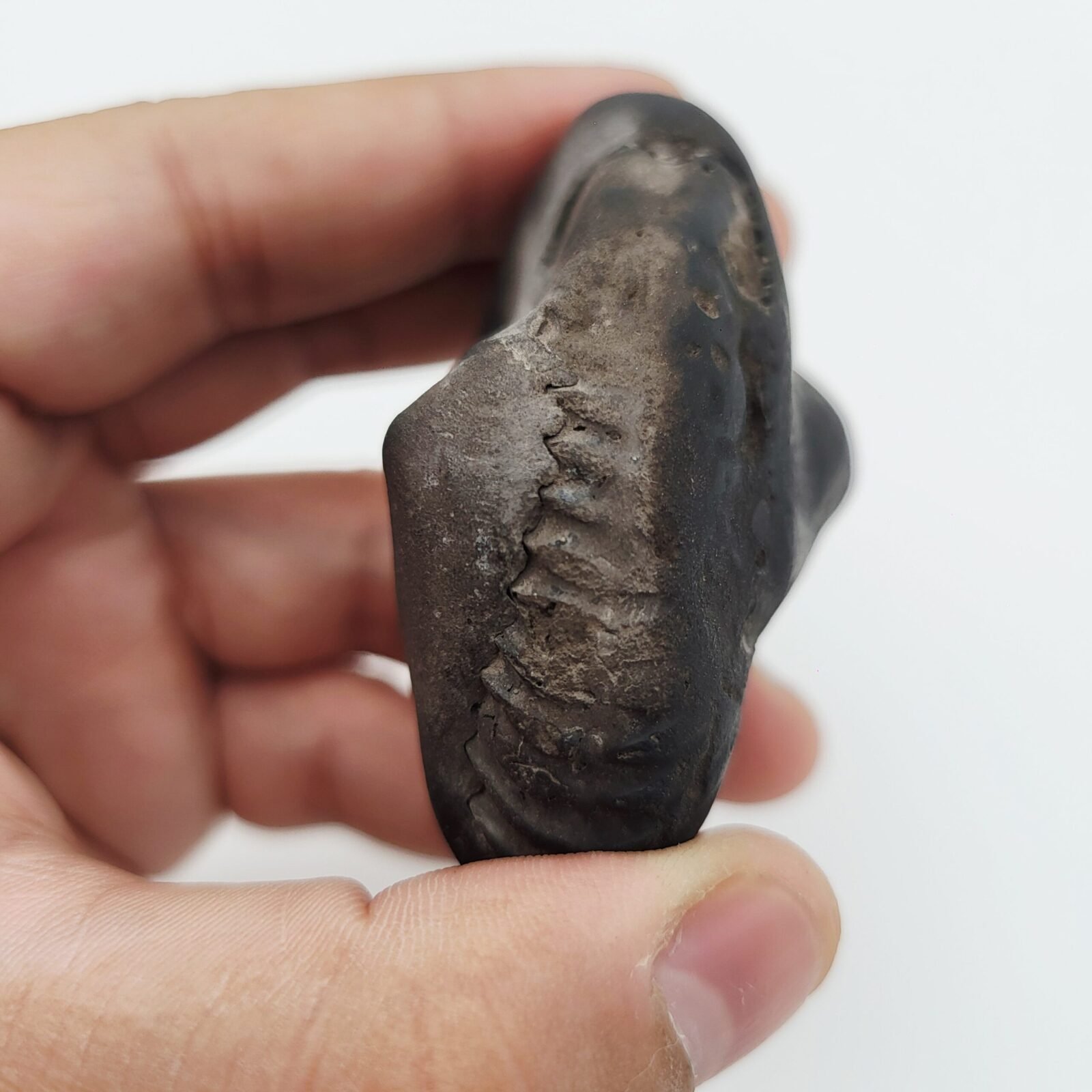 SHREE GANESH SHALIGRAM (RARE) - Image 6