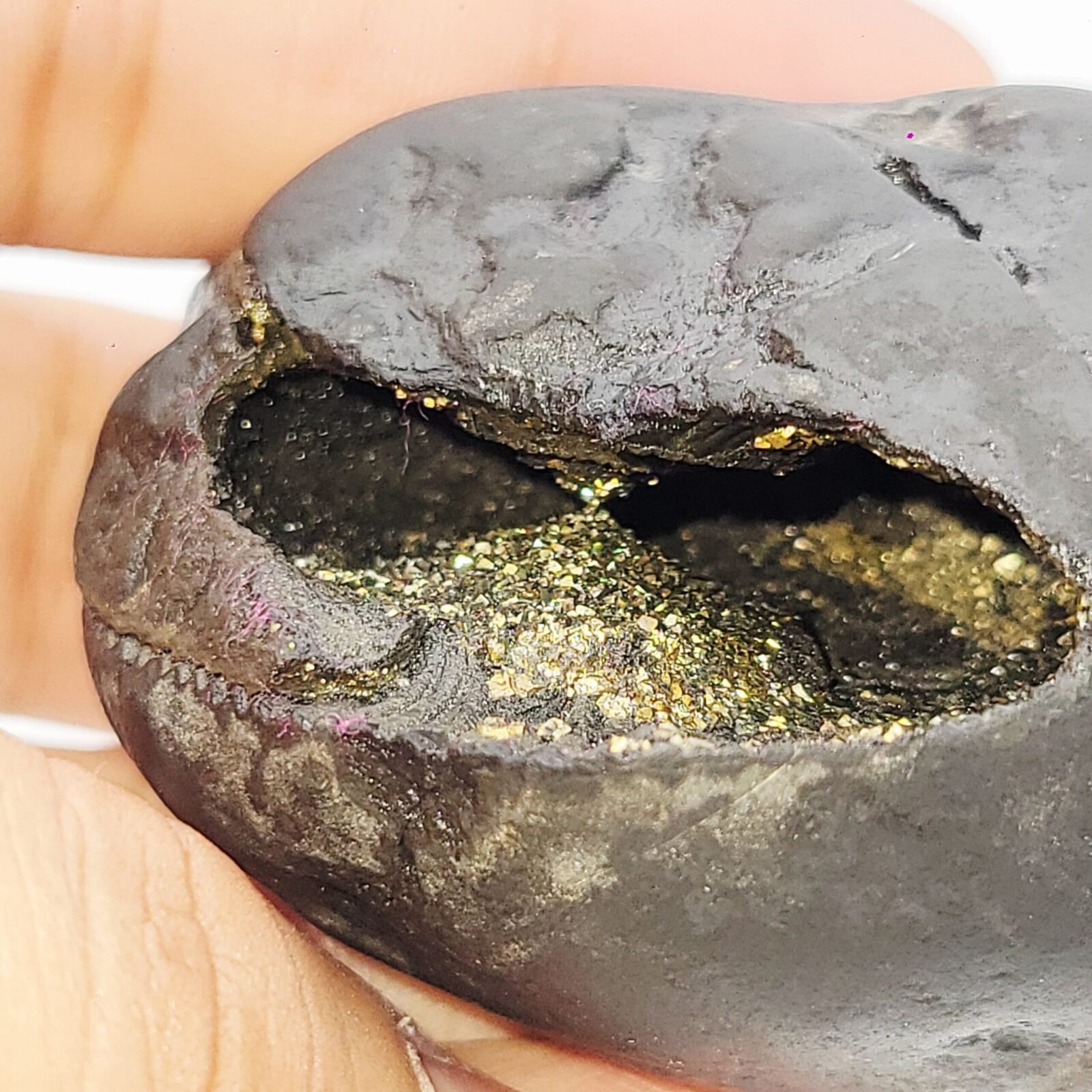 KUBER SHALIGRAM for Unlimited Wealth (RARE) - Image 5