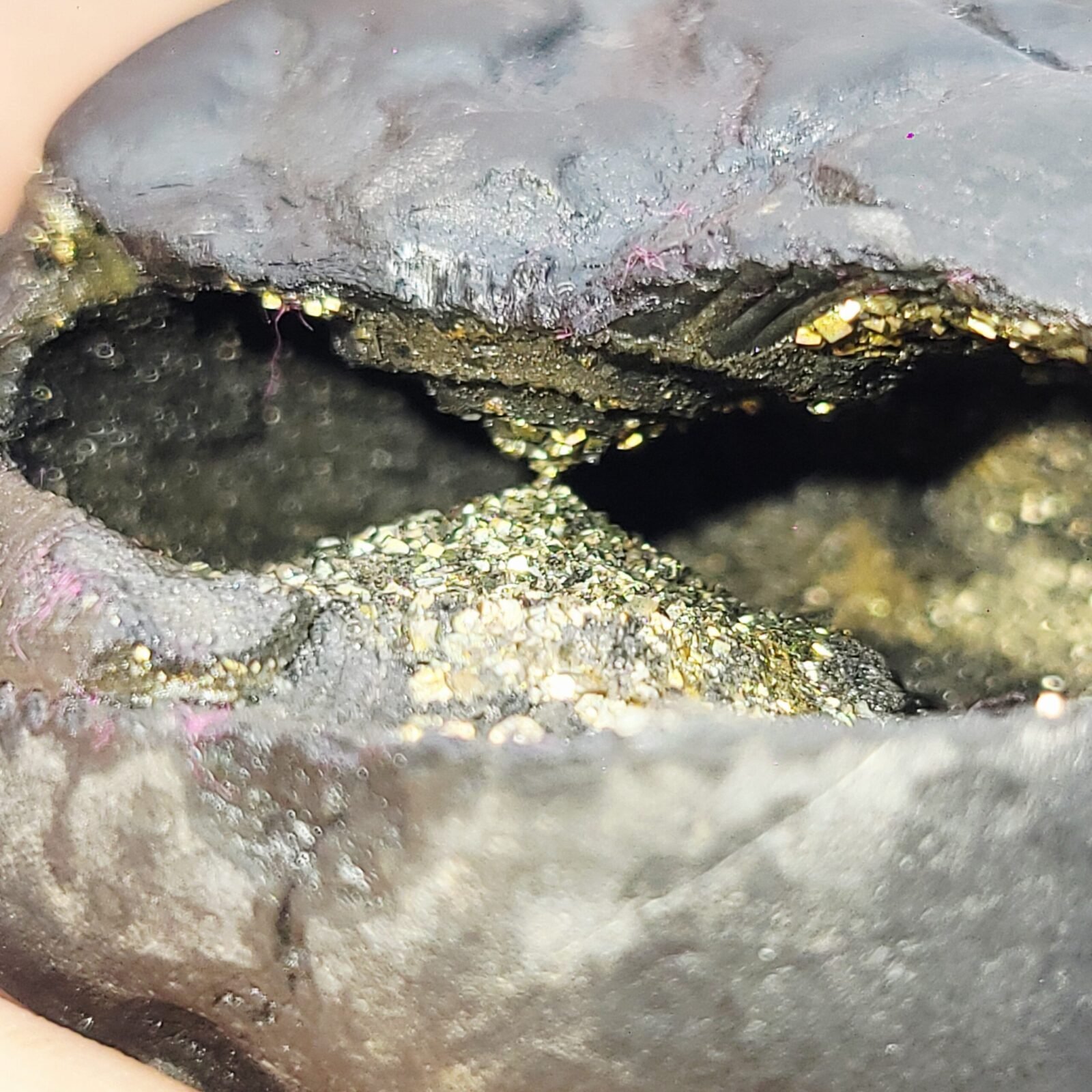 KUBER SHALIGRAM for Unlimited Wealth (RARE) - Image 11