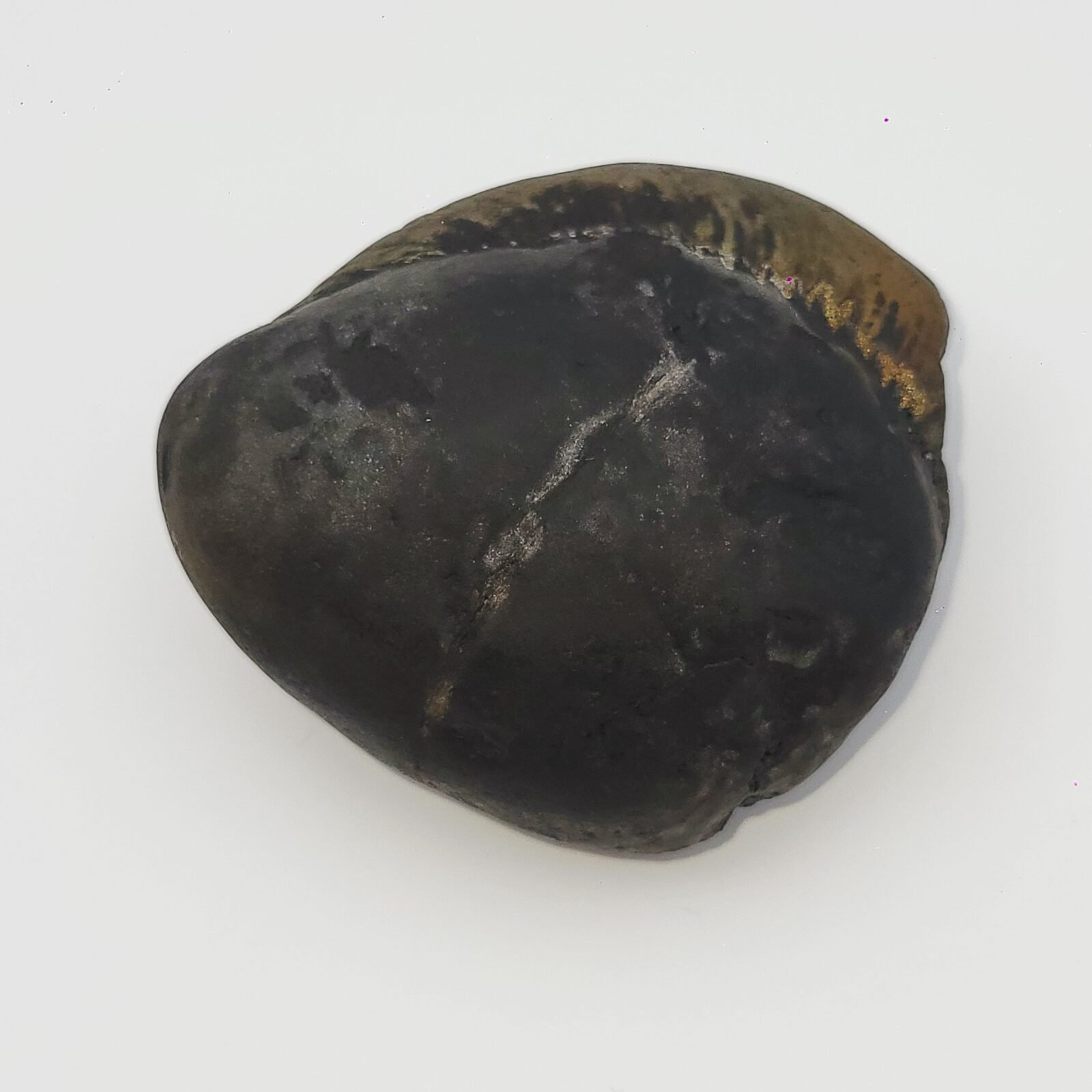 KUBER SHALIGRAM for Unlimited Wealth (RARE) - Image 7