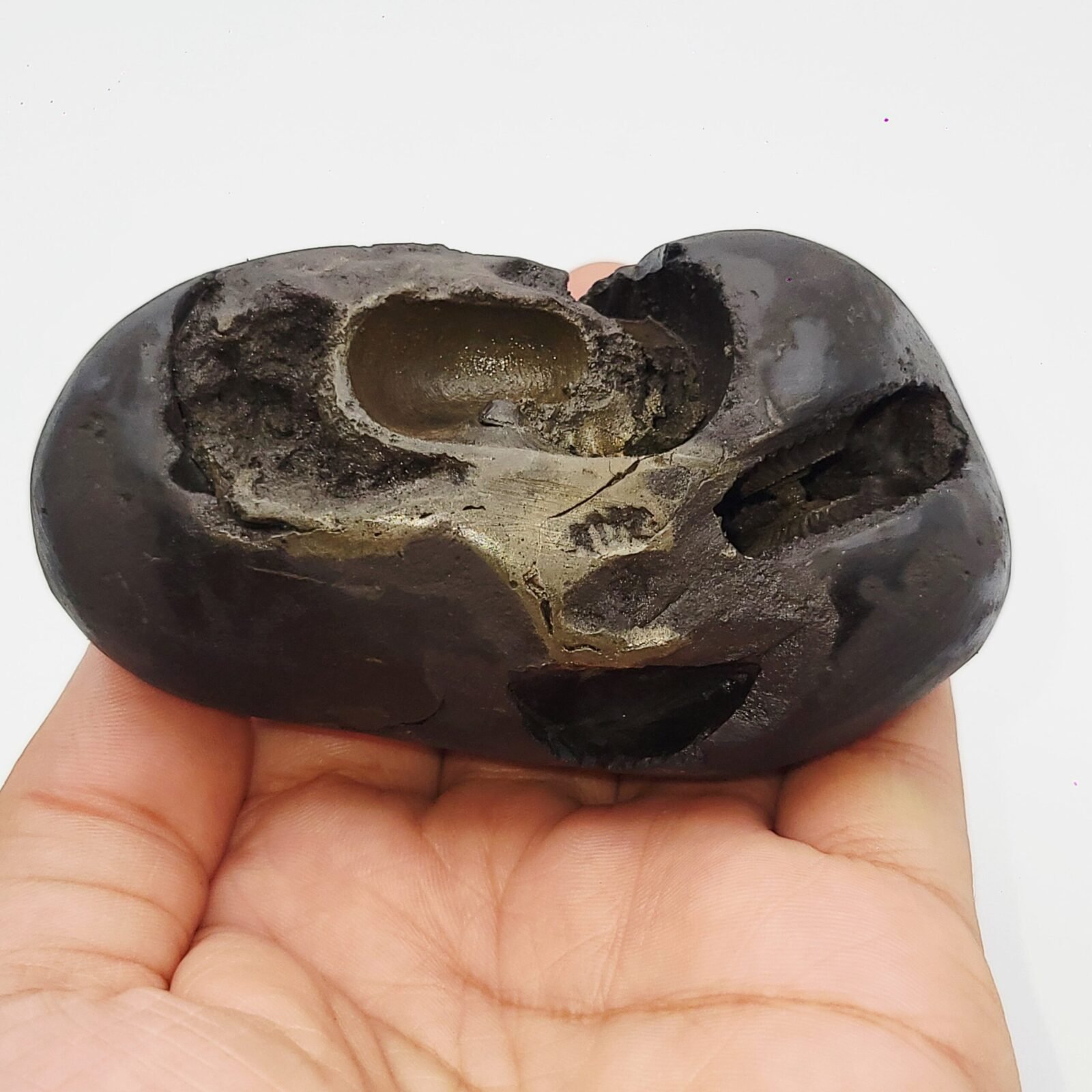 ANANT PADMANABHAN SHALIGRAM 4 CHAKRA (RARE) - Image 7