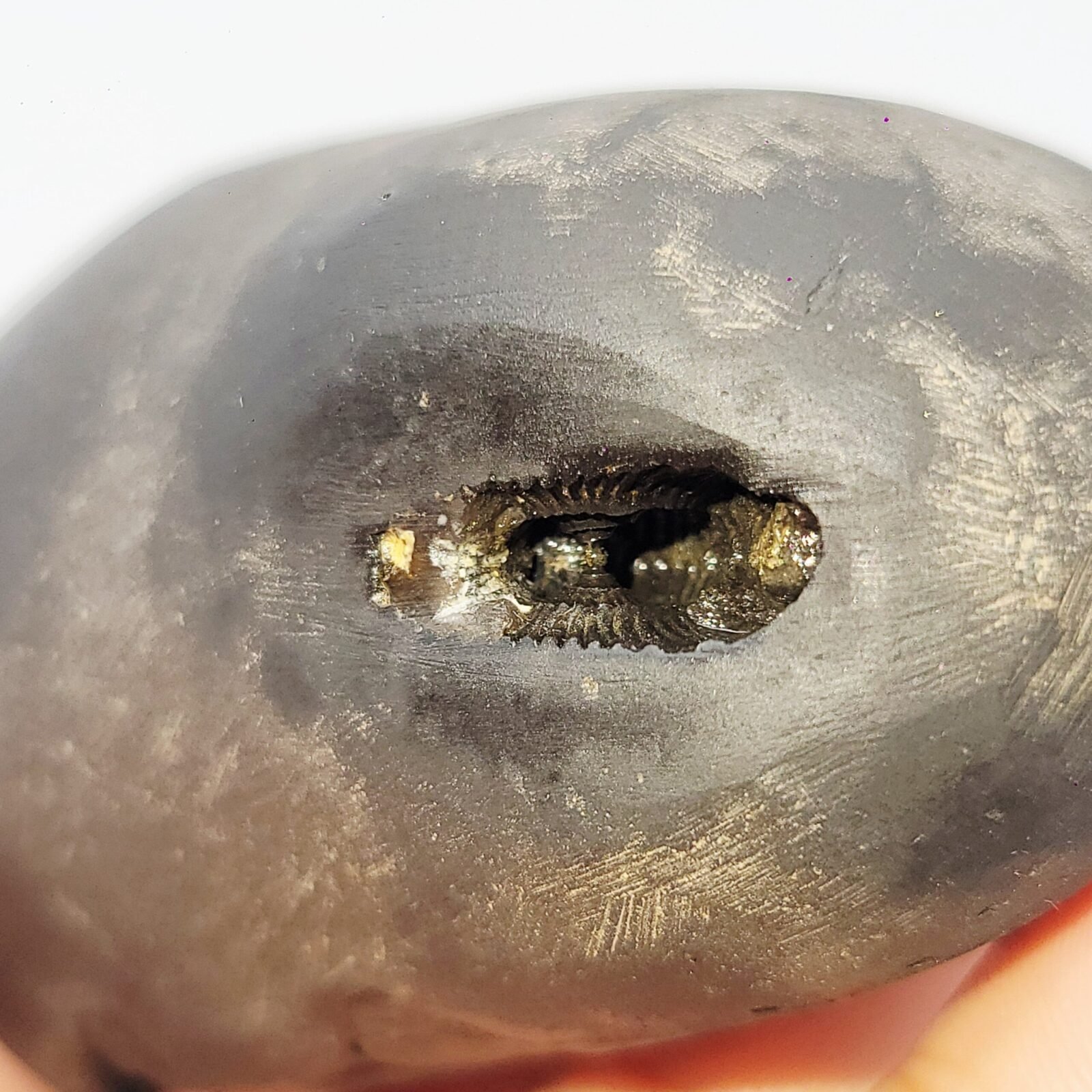 ANANT PADMANABHAN SHALIGRAM 4 CHAKRA (RARE) - Image 5