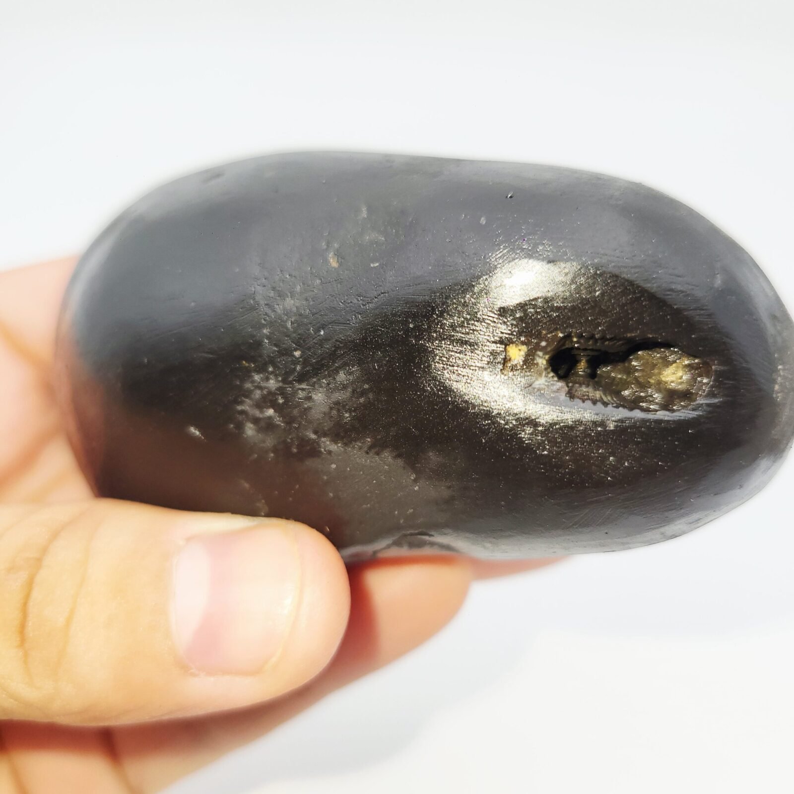 ANANT PADMANABHAN SHALIGRAM 4 CHAKRA (RARE) - Image 6