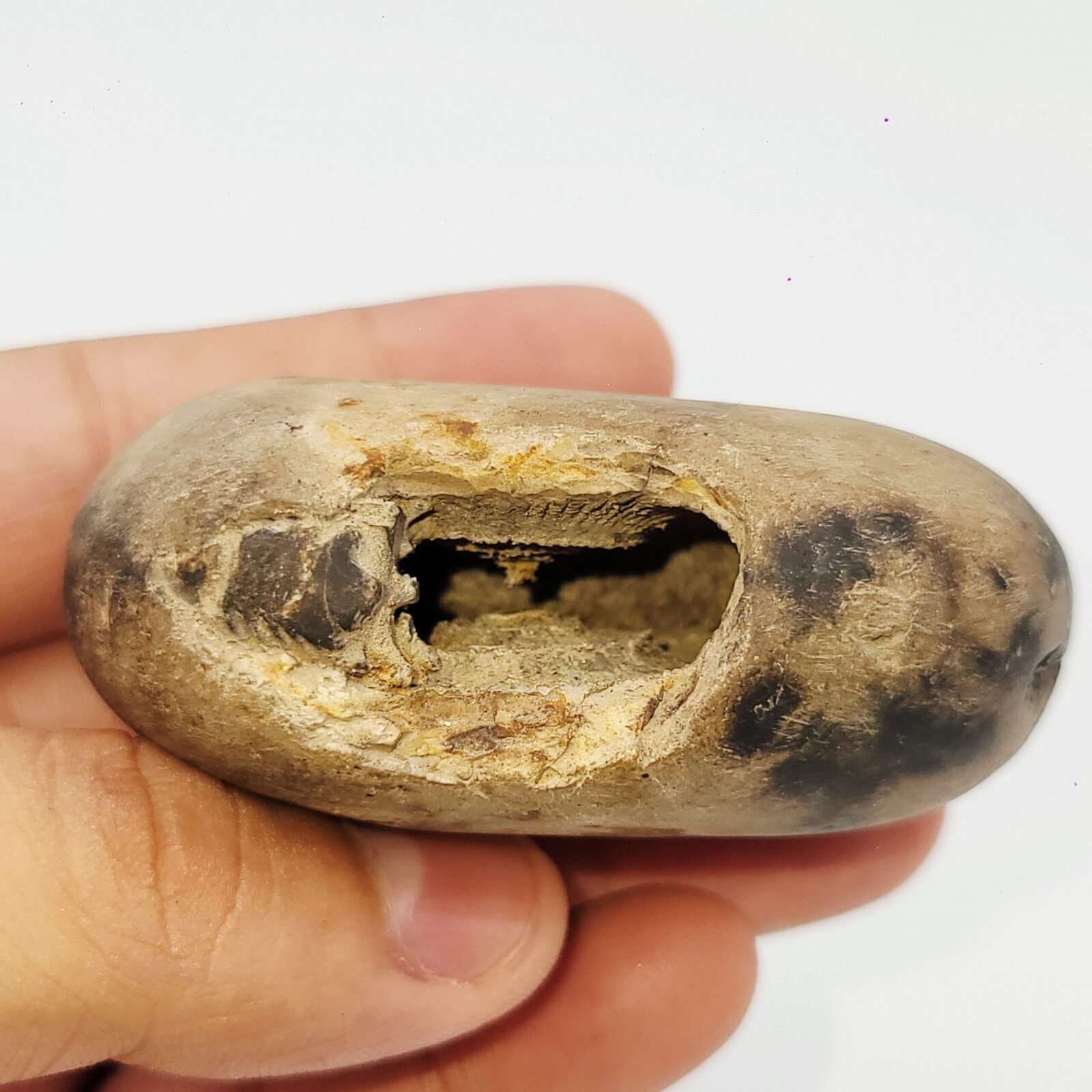 ADVAITYA SHALIGRAM - Oldest Shila (RARE) - Image 2