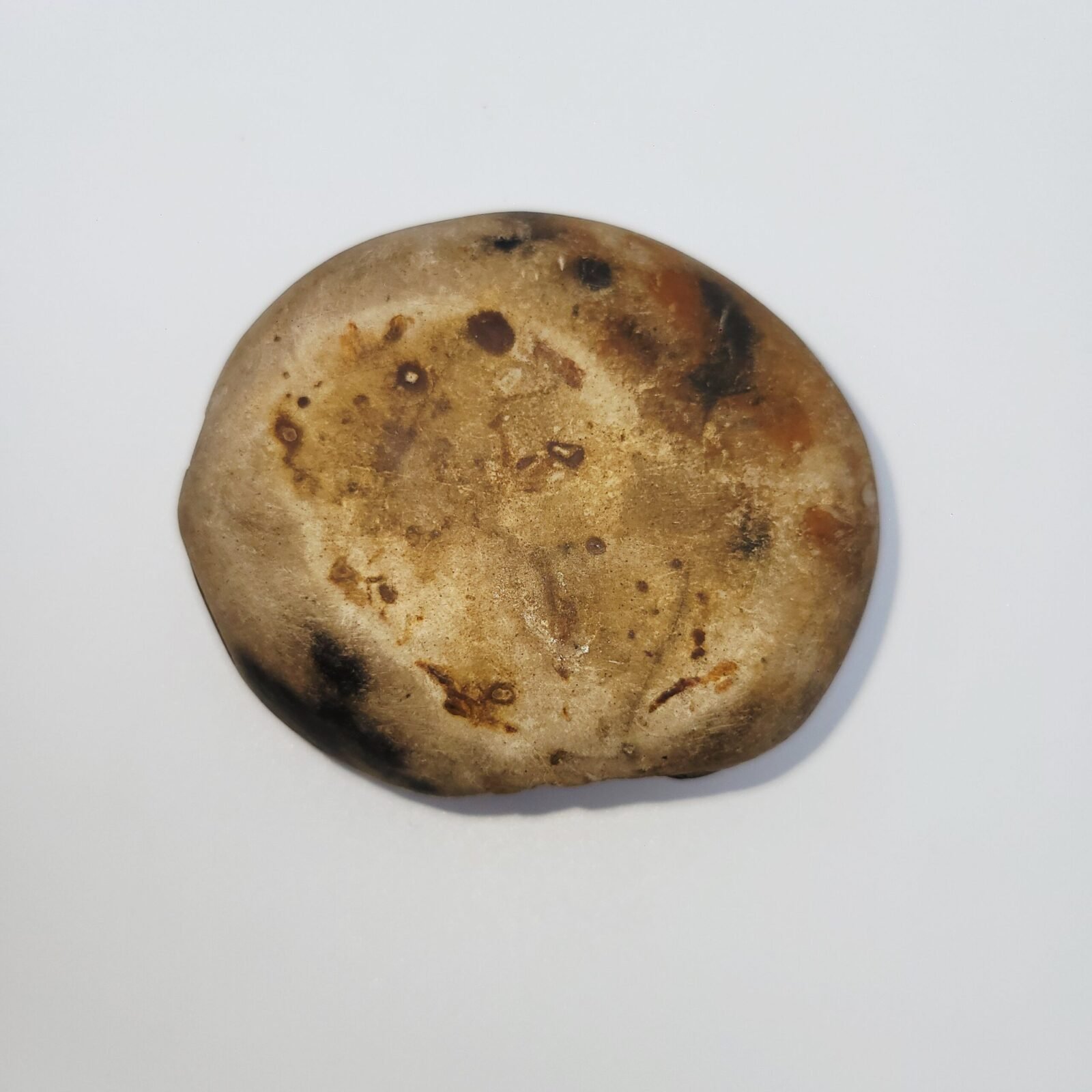 ADVAITYA SHALIGRAM - Oldest Shila (RARE) - Image 4