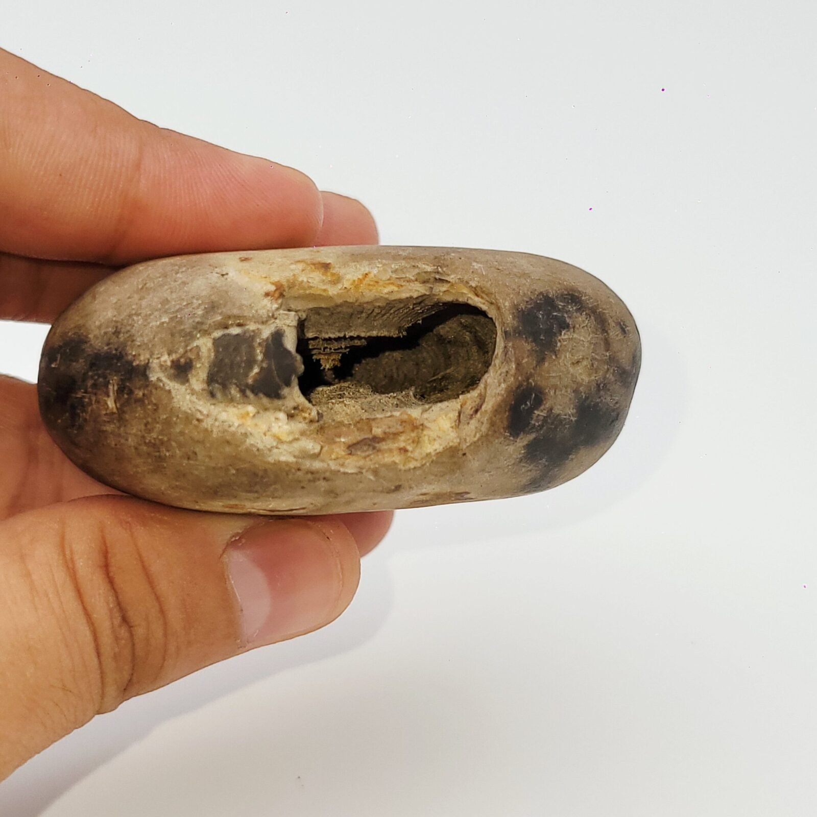 ADVAITYA SHALIGRAM - Oldest Shila (RARE) - Image 6