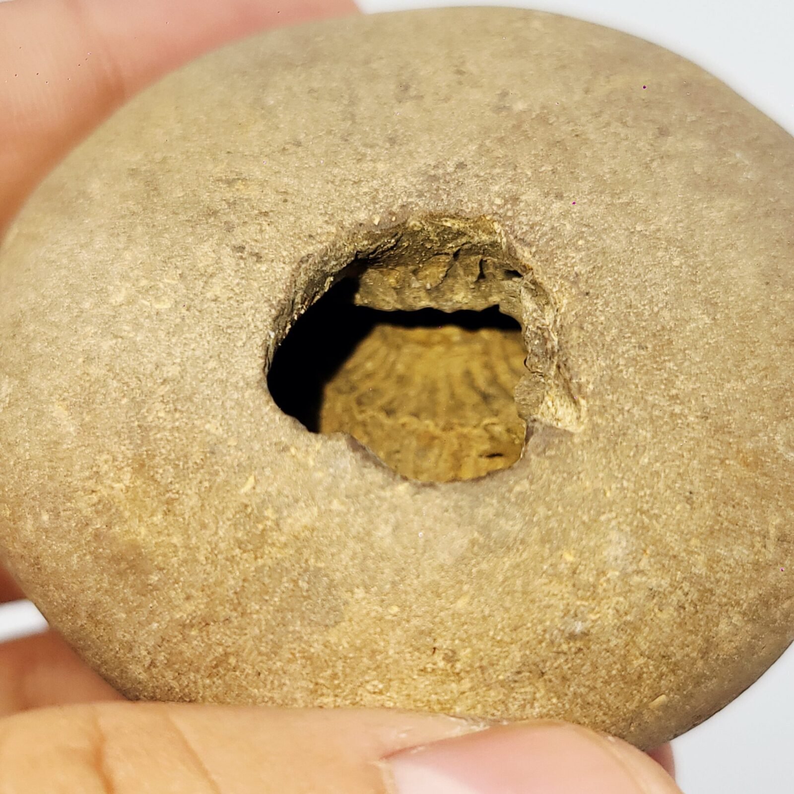 ADVAITYA GOVIND SHALIGRAM - Oldest Shila (RARE) - Image 5