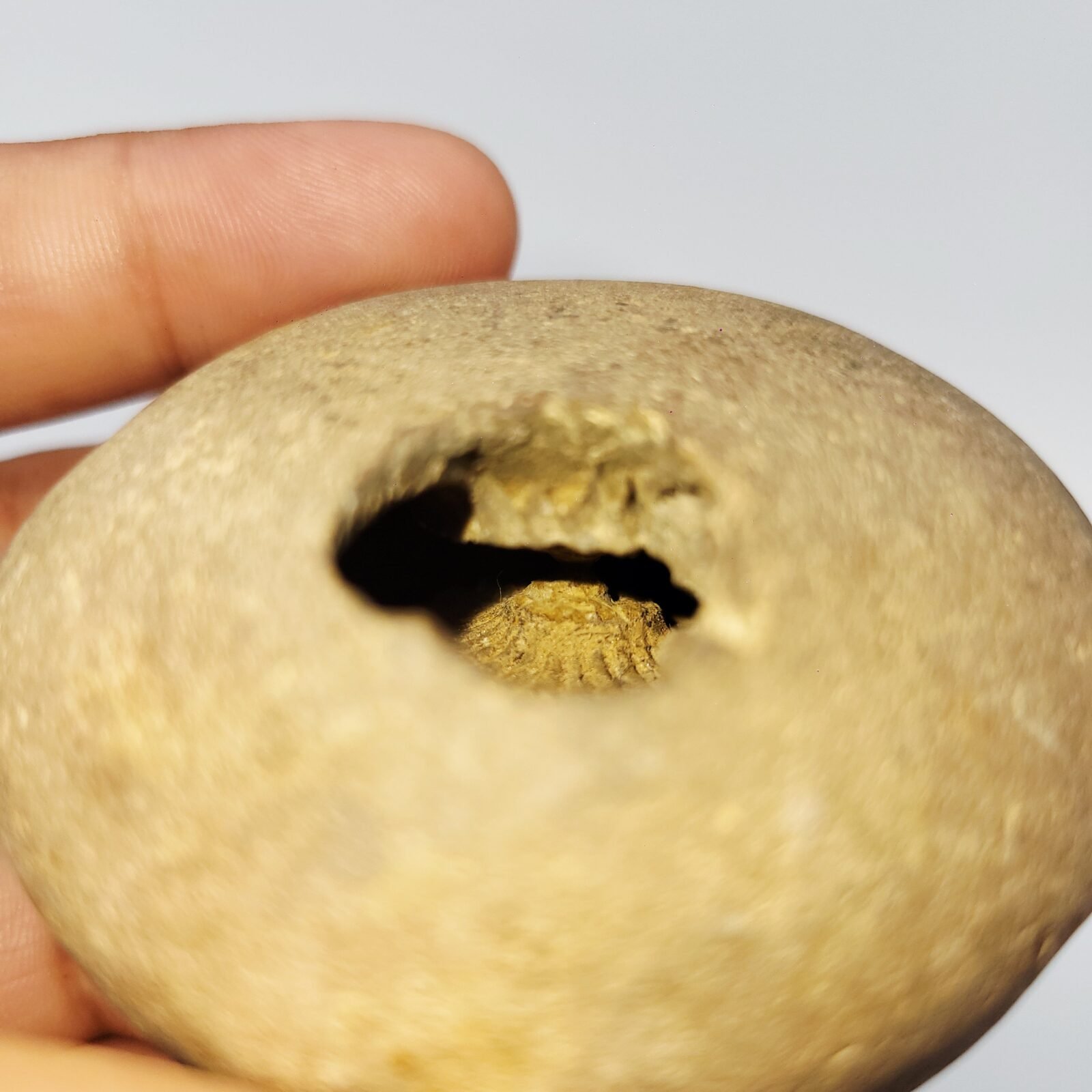 ADVAITYA GOVIND SHALIGRAM - Oldest Shila (RARE) - Image 6