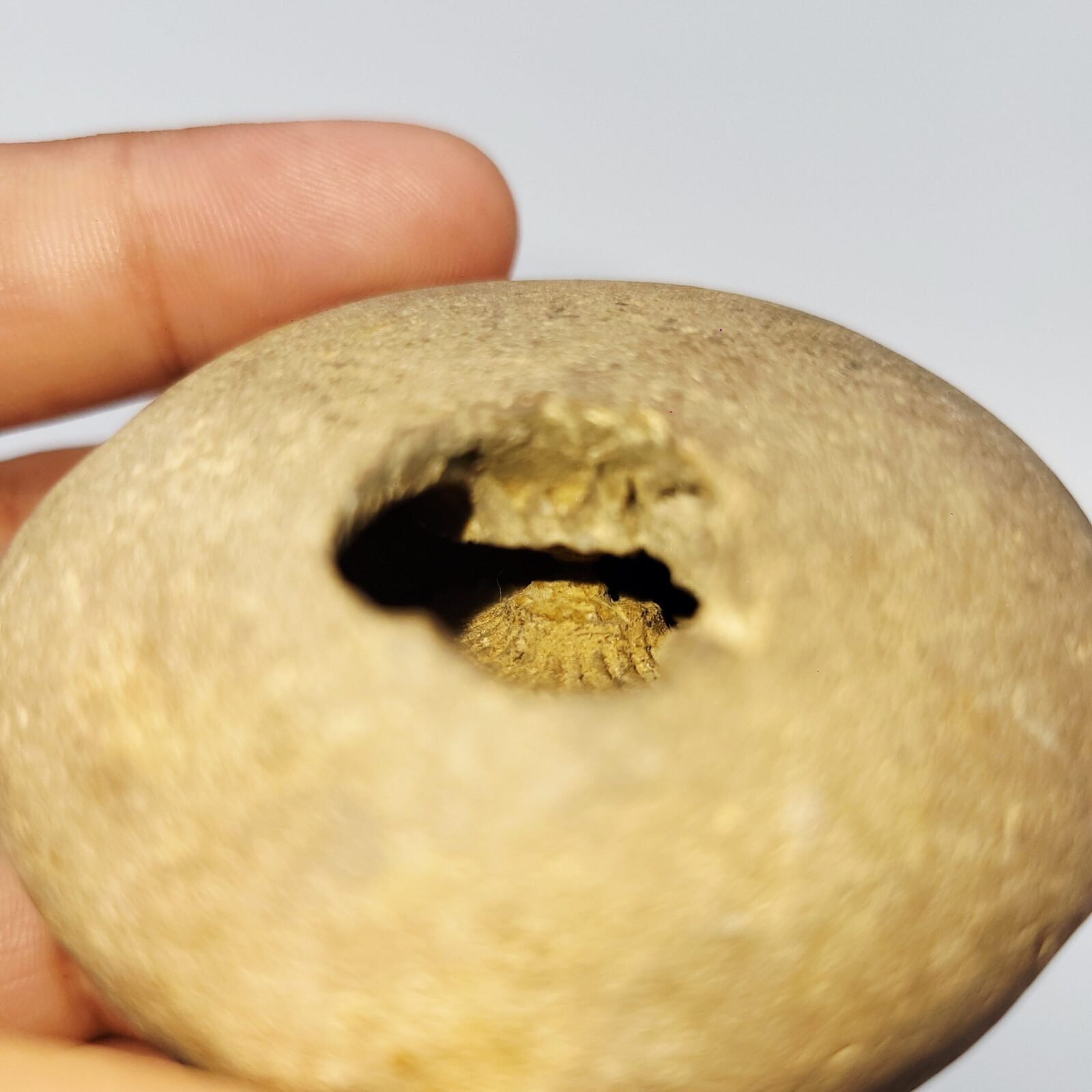ADVAITYA GOVIND SHALIGRAM - Oldest Shila (RARE) - Image 6