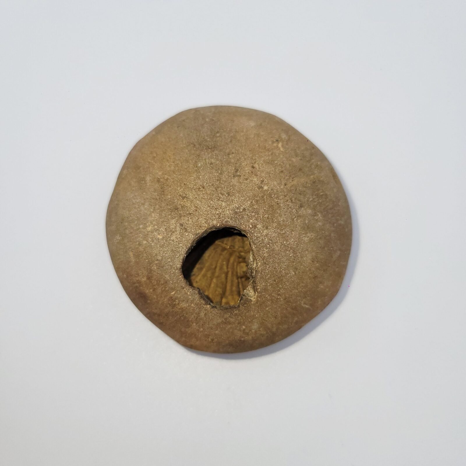 ADVAITYA GOVIND SHALIGRAM - Oldest Shila (RARE) - Image 3