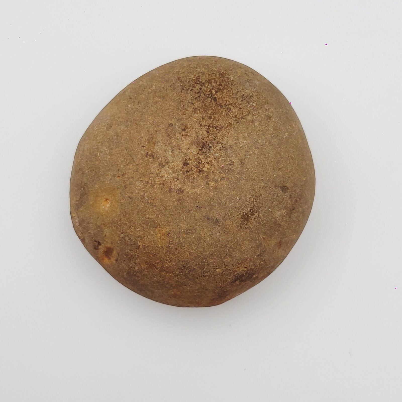 ADVAITYA GOVIND SHALIGRAM - Oldest Shila (RARE) - Image 4
