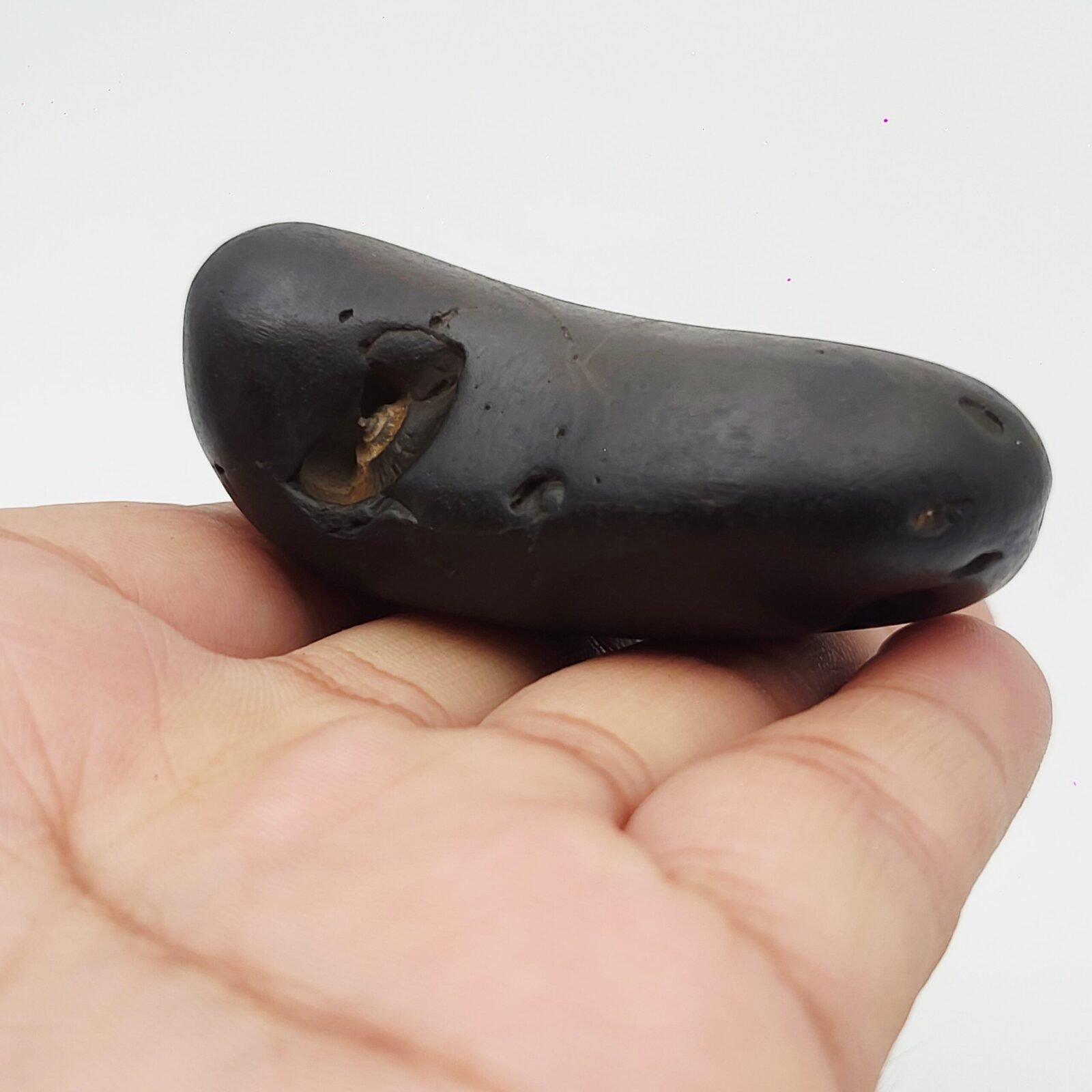 ANANTASAYANA YOGANIDRA VISHNU SHALIGRAM - Vishnu Ji reclining on Shesha Naag, Meditative Position (RARE) - Image 2