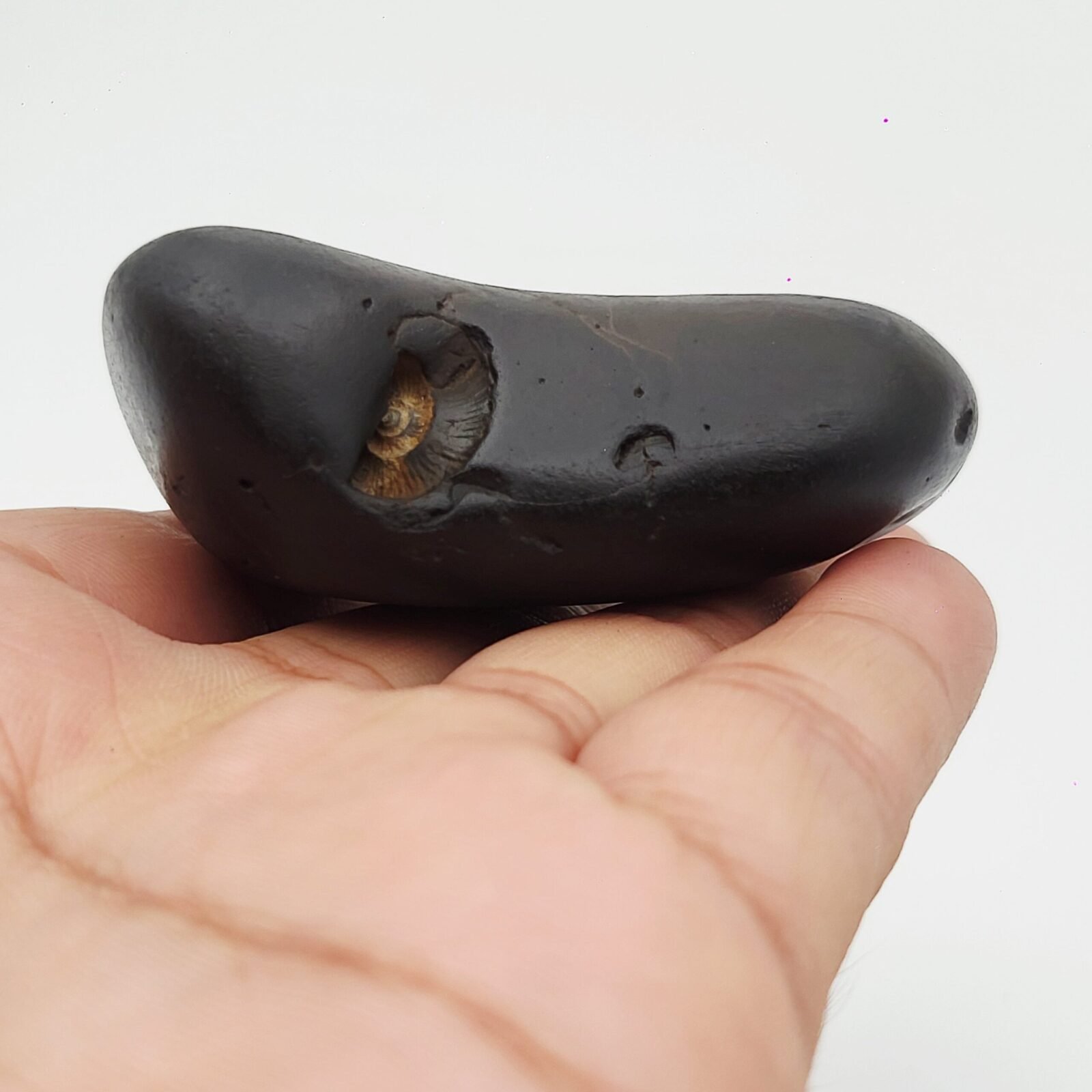 ANANTASAYANA YOGANIDRA VISHNU SHALIGRAM - Vishnu Ji reclining on Shesha Naag, Meditative Position (RARE) - Image 8
