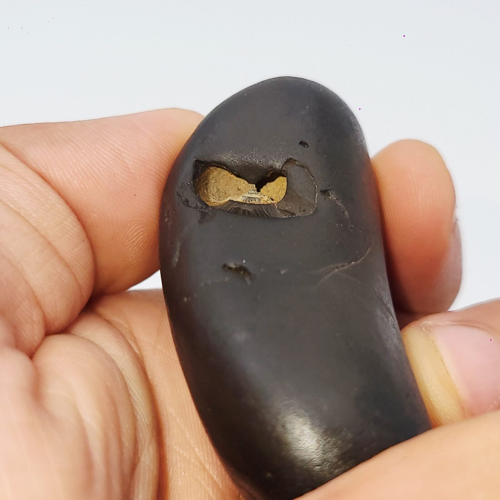 ANANTASAYANA YOGANIDRA VISHNU SHALIGRAM - Vishnu Ji reclining on Shesha Naag, Meditative Position (RARE) - Image 3