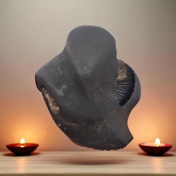 SHREE GANESH SHALIGRAM (RARE)
