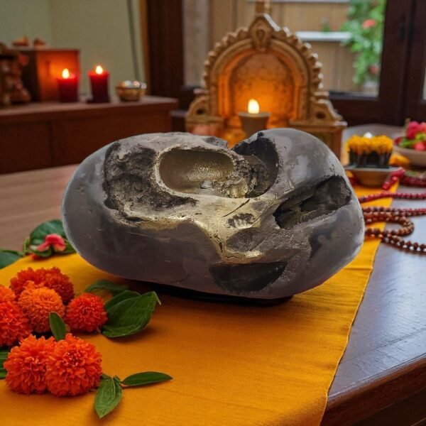 ANANT PADMANABHAN SHALIGRAM 4 CHAKRA (RARE)