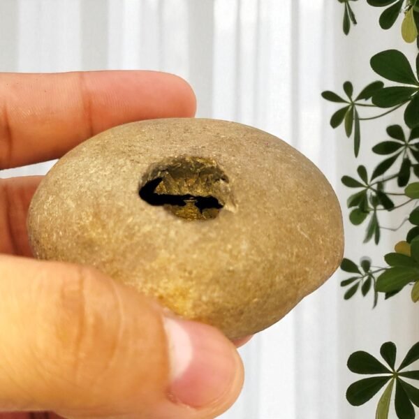 ADVAITYA GOVIND SHALIGRAM - Oldest Shila (RARE)
