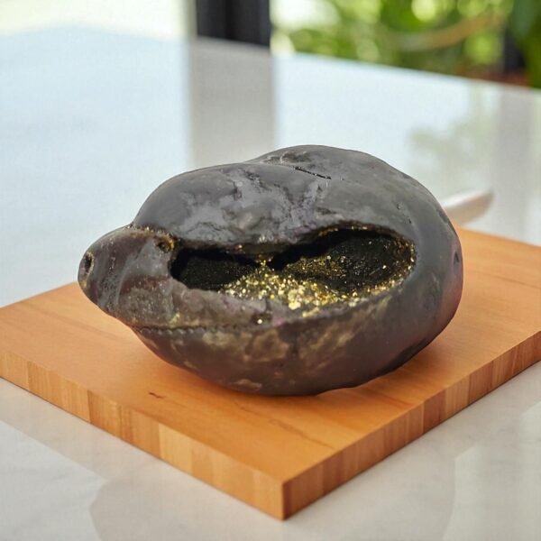 KUBER SHALIGRAM for Unlimited Wealth (RARE)