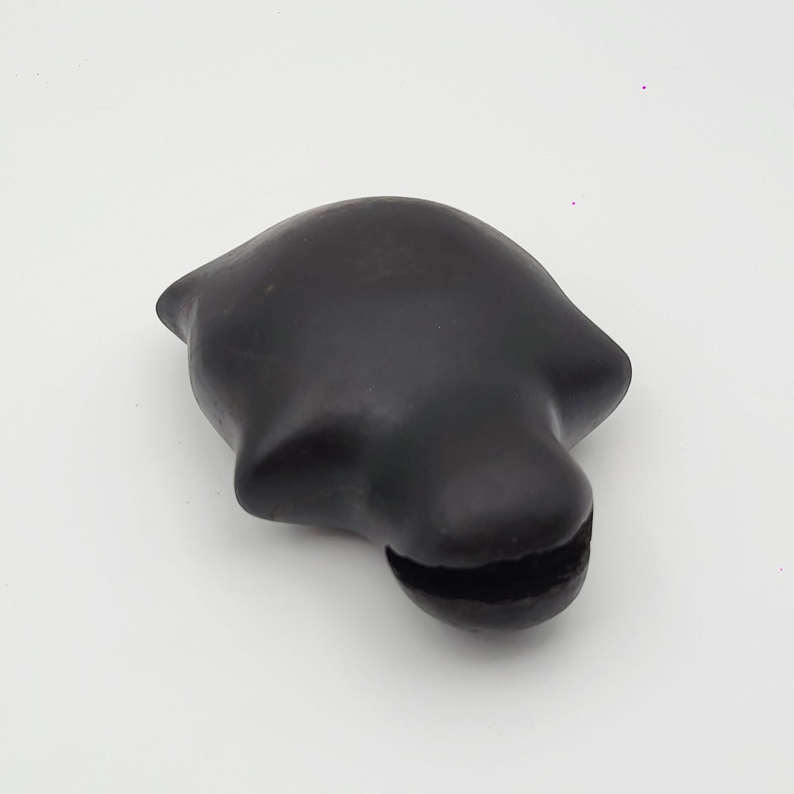KURMA SHALIGRAM RAREST 4 CHAKRA NATURAL (2 IN MOUTH + 2 IN TAIL) - Image 8
