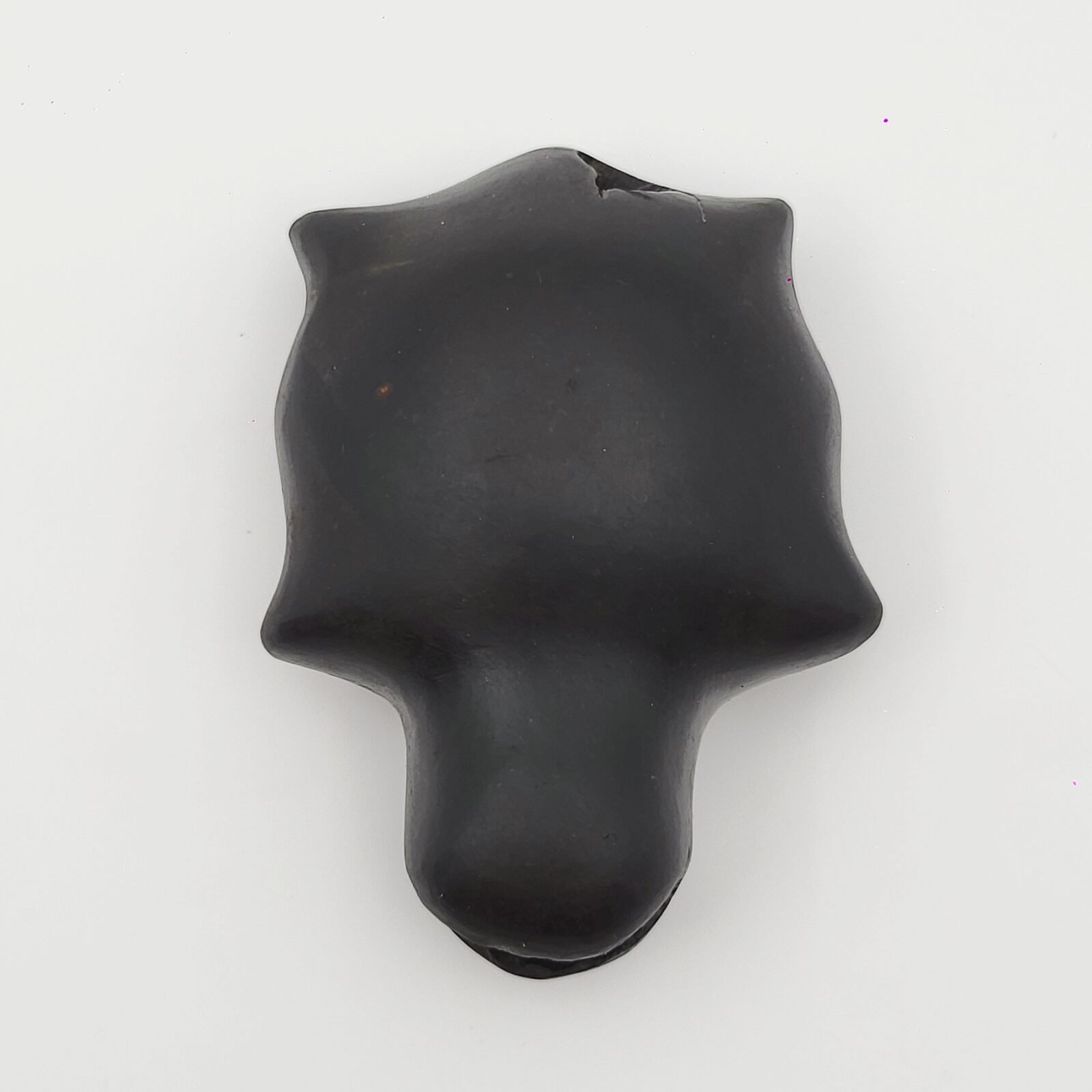 KURMA SHALIGRAM RAREST 4 CHAKRA NATURAL (2 IN MOUTH + 2 IN TAIL) - Image 13