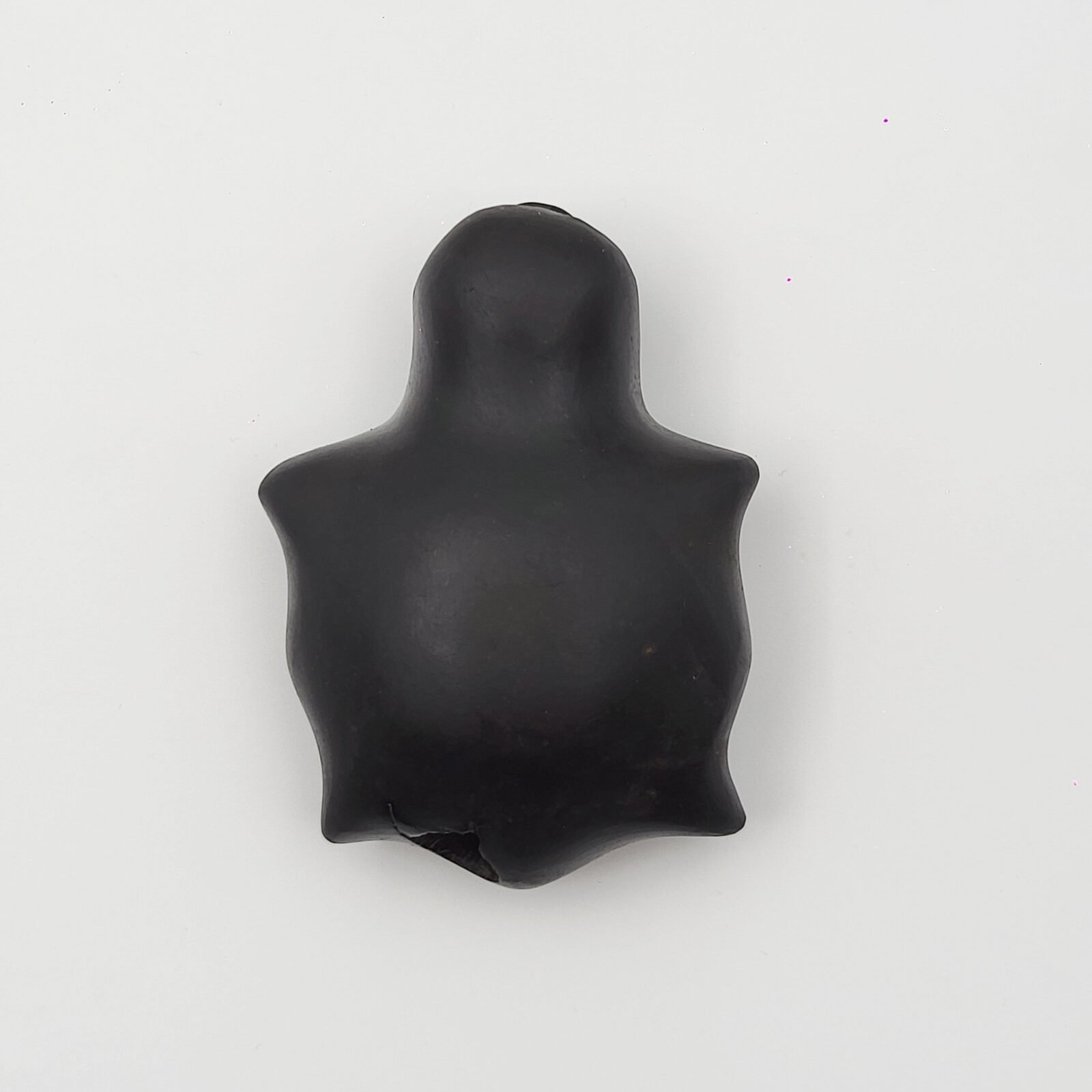KURMA SHALIGRAM RAREST 4 CHAKRA NATURAL (2 IN MOUTH + 2 IN TAIL) - Image 5