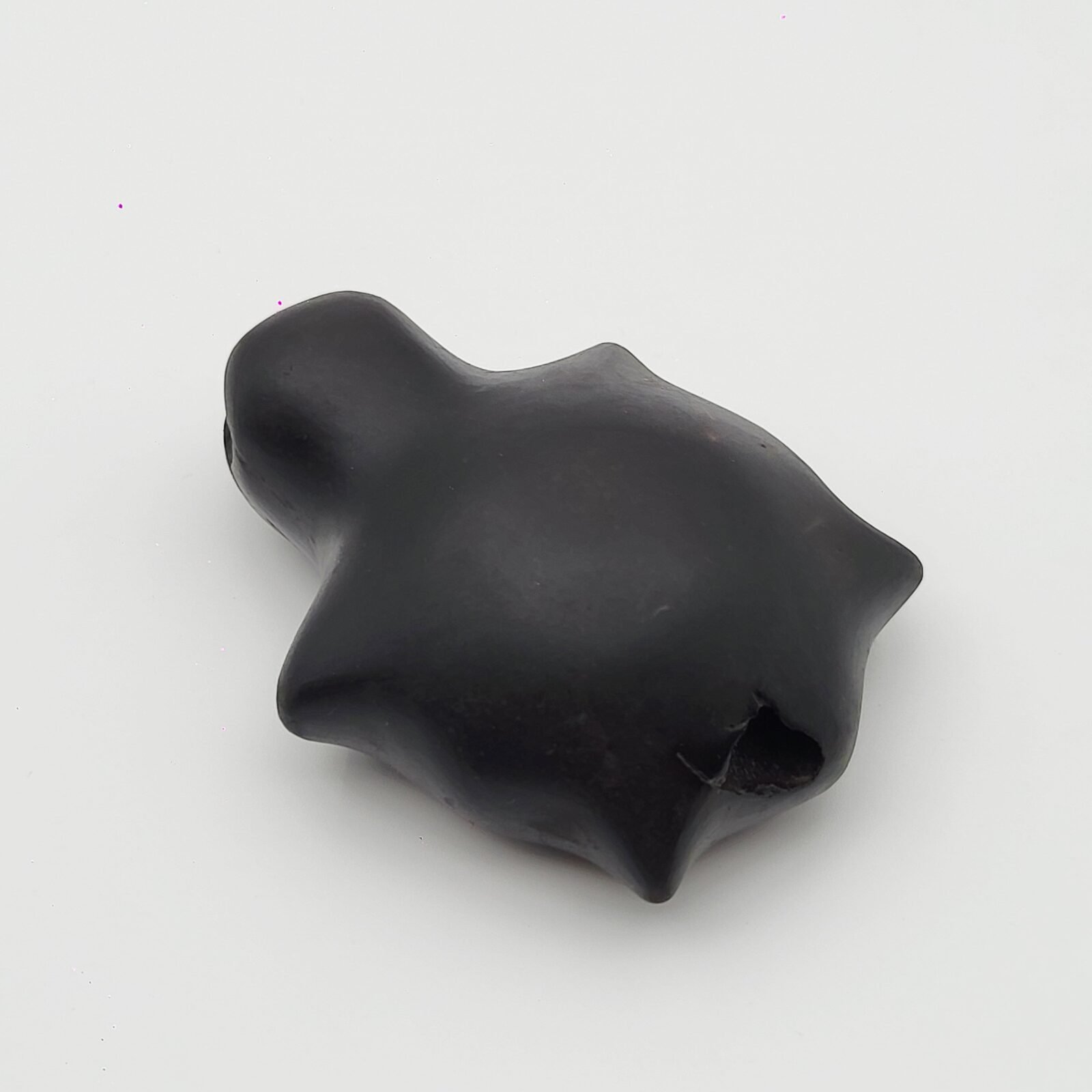 KURMA SHALIGRAM RAREST 4 CHAKRA NATURAL (2 IN MOUTH + 2 IN TAIL) - Image 3