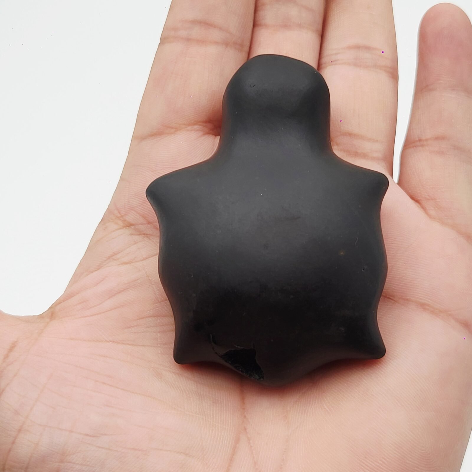 KURMA SHALIGRAM RAREST 4 CHAKRA NATURAL (2 IN MOUTH + 2 IN TAIL) - Image 11