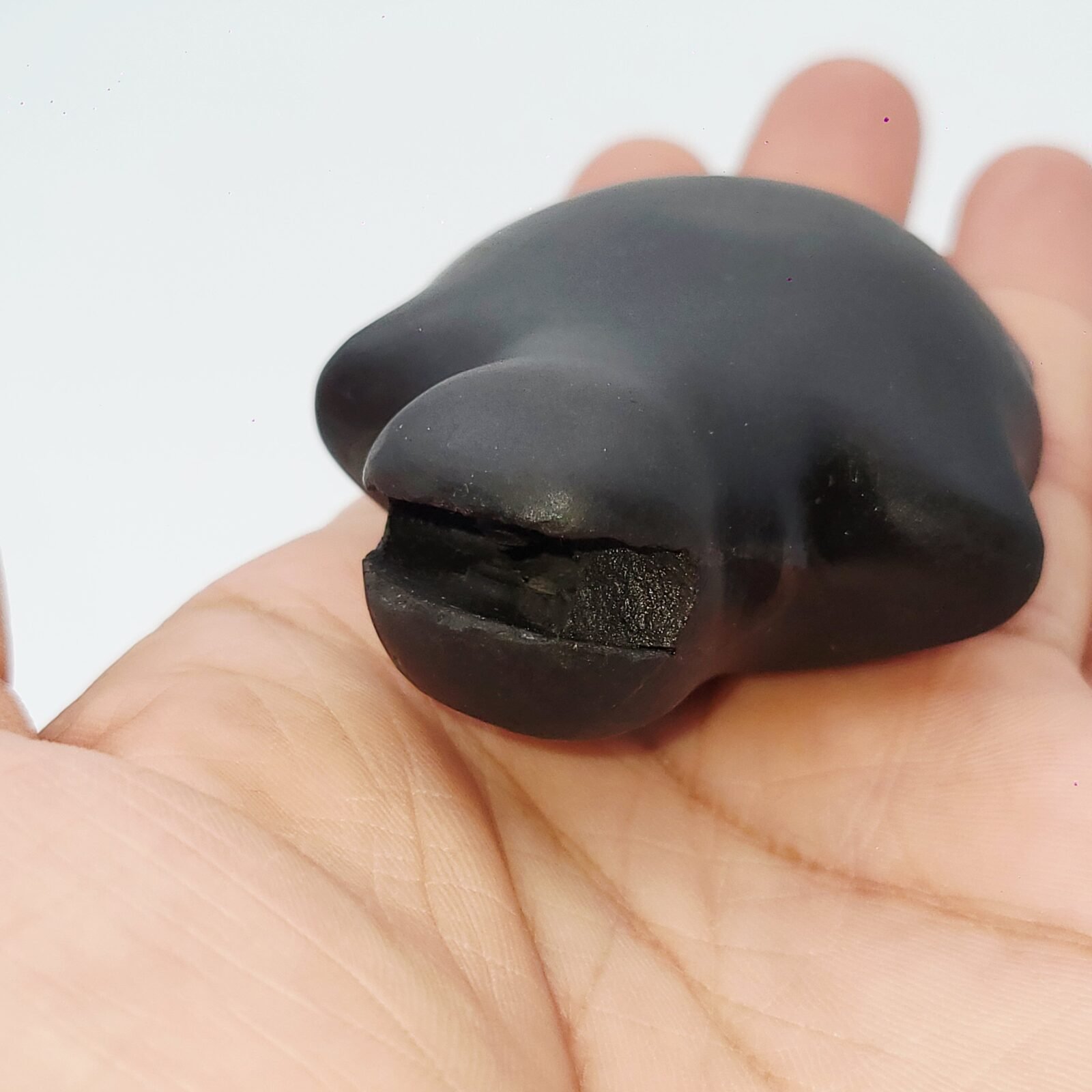 KURMA SHALIGRAM RAREST 4 CHAKRA NATURAL (2 IN MOUTH + 2 IN TAIL) - Image 4